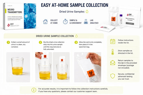 Neurotransmitters urine sample collection kit with instructions